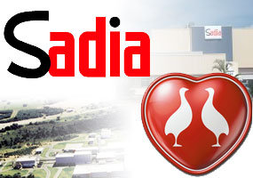 Sadia e Perdigão - Brasil Foods - Jeferson Heroico