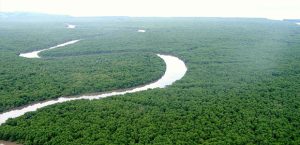 Liminar que impedia o uso do Código Florestal é suspensa pelo STJ