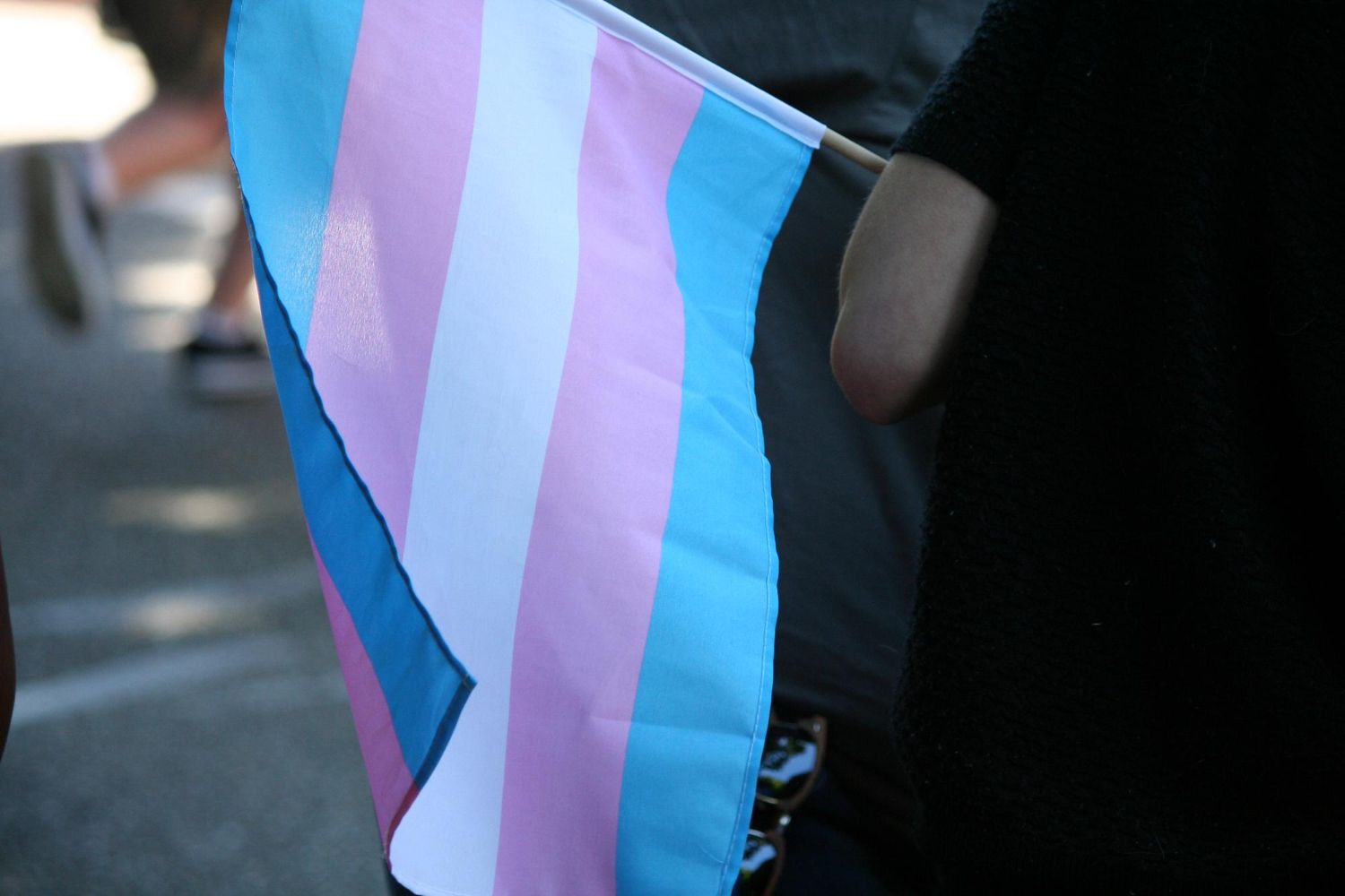 bandeira trans