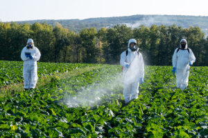 agrotóxicos pulverização pesticida veneno