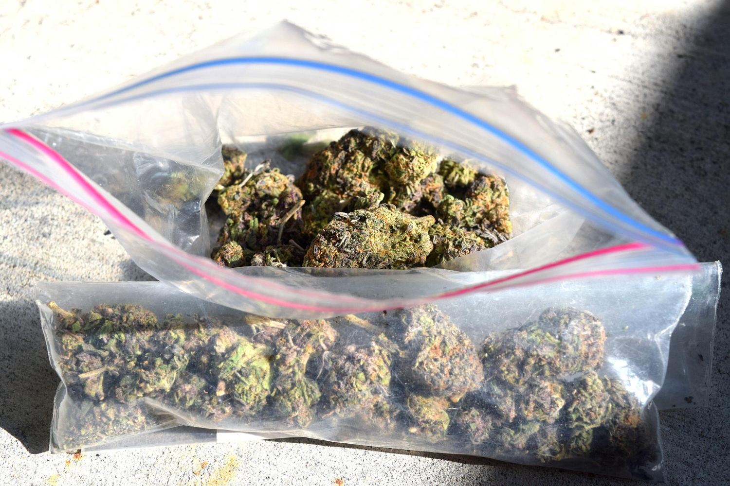 Juiz aplicou o Tema 506 que descriminalizou o porte de maconha para absolver réu acusado de tráfico de drogas