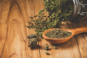 Maconha