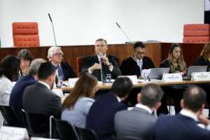 Audiência sobre medidas de combate a incêndios no Pantanal e na Amazônia.