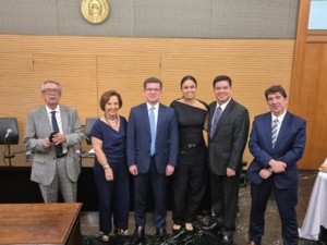 Ivan Miziara, Linamara Rizzo Battistela, Leandro Sarcedo, Ana Elisa Bechara, Luciano Anderson de Souza e Guilherme Feliciano