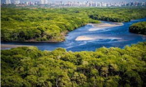 Juiz acolheu argumentos de laudo técnico que demonstrou que área perdeu sua função ambiental