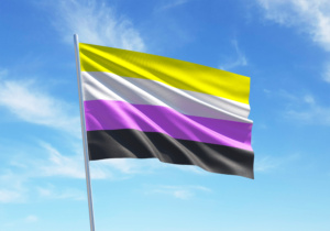 bandeira do orgulho não-binário