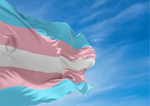 bandeira trans