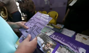 Lei maria da Penha / violência doméstica