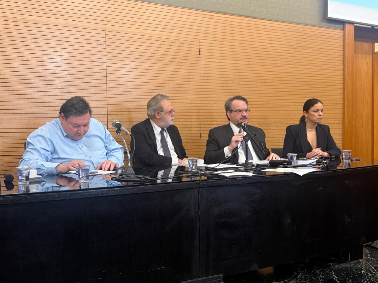 Gilberto Bercovici, Celso Campilongo, Otavio Luiz Rodrigues Jr. e Ana Elisa Bechara