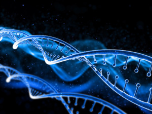 dna