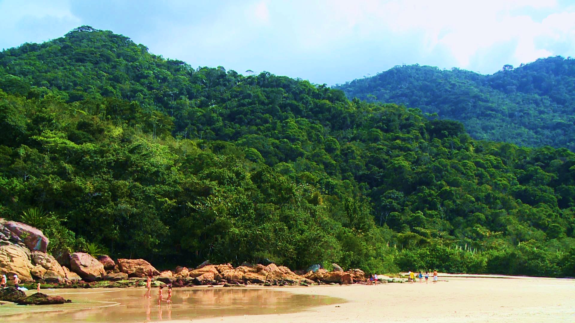 Desembargador David Dantas aplicou Súmula do STJ para ordenar que ICMBIo desocupe área no Parque da Serra da Bocaina