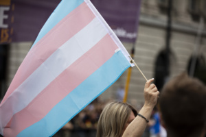 bandeira pessoas trans lgbtqia+