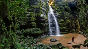 O Parque Nacional dos Campos Gerais, no Paraná, reúne mais de 21 mil hectares de Mata Atlântica