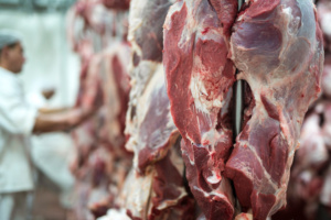 carne açougue frigorífico