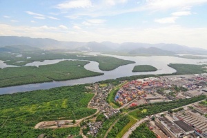 mangue, Santos
