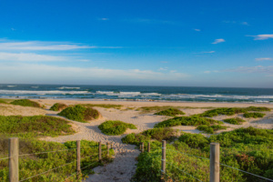 praia preservada