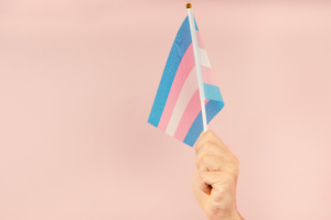 bandeira trans