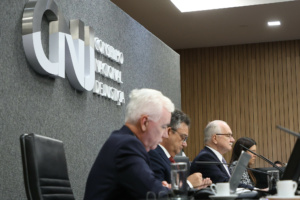 Plenário do Conselho ressaltou que Súmula Vinculante do STF estabelece critérios para que ato seja caracterizado como nepotismo
