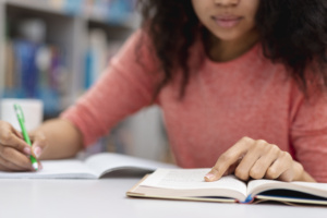 Ensino domiciliar em detrimento do ensino regular brasileiro configurou abandono intelectual e violou Convenção sobre os Direitos da Criança
