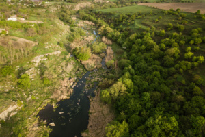 área de preservação permanente proteção ambiental direito crime