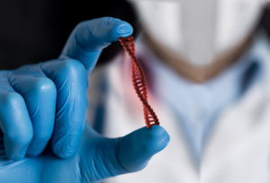 teste exame de DNA paternidade maternidade