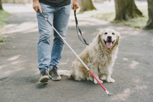 Recusar corrida devido a cão-guia gera indenização