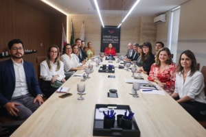 Representantes do TJ-MG, do TRT-3 e da OAB-MG participaram de reunião para discutir litigância abusiva