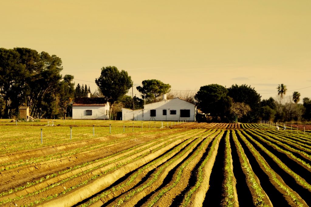 Propriedade rural