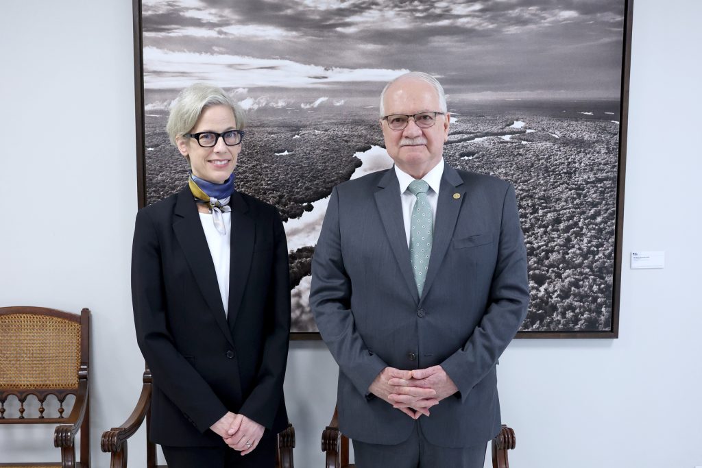 Fachin e Margaret Satterhwrite, Relatora Especial das Nações Unidas para Independência do Poder Judiciário, em audiência no STF